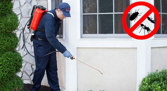 Örnekköy Gümüşkurt İlaçlama böcek ilaçlama ve haşere kontrolü — ilaclama-tr.com